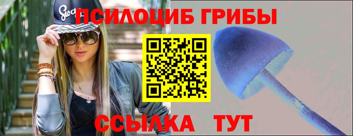 Десногорск  купить закладку  Вход с VPN  Галлюциногенные грибы мухоморы 